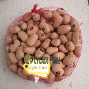 Dyeriuanus Seeds