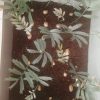 Encepharlatos Horridus Seedlings