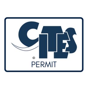 Cites Permit